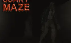 Scary Maze 3D image