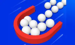 Ball Picker 3D image