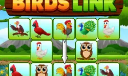 Birds Link image