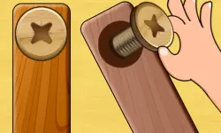 Screw Puzzle image