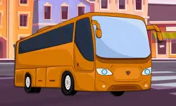 Buses Differences image