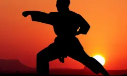 Karate Sunset Warriors image