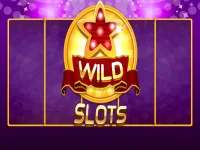 Wild Slot