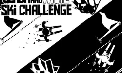 Black  amp; white ski challenge image