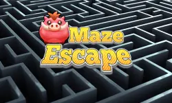 Maze Escape image