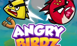 Angry Birdz image
