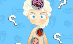 Frozen Learning The Body Online image