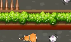 Cat Trap Labyrinth Escape image