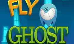 Fly Ghost image