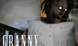 Granny Cursed Cellar image