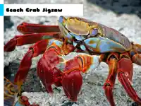 Beach Crab Jigsaw