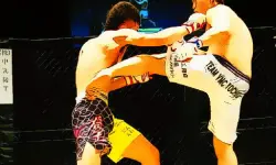 UFC Fighting Match Jigsaw image