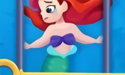 Save The Mermaid image