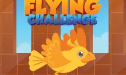 Flying Challenge image