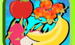 Shadow game Drag and Drop image