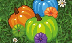 Color Pumpkin Match image
