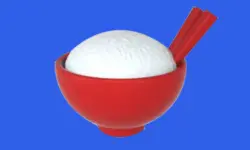 100000000 grains of rice image