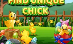 Find Unique Chick image