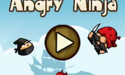 Angry Ninjas image