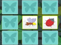 Kids Memory - Insects