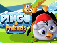 Pingu  amp;amp; Friends