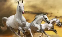 Running Horse Slide image