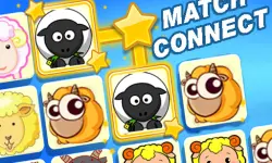 Match Connect image