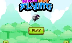 Ninja flying boy image