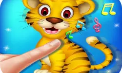 Animal Toush Panda image