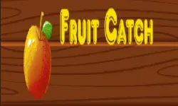 Fruit catch image