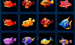 Fish Cards Match image