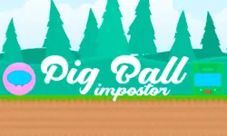 Pig Ball impostor image