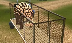 Dino Transport Simulator image