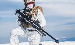 Snow Sniper image
