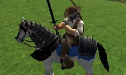 Reiten Simulator image
