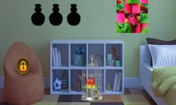 image bg Couple Parrot Escape