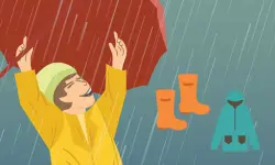 November Rain Match 3 image