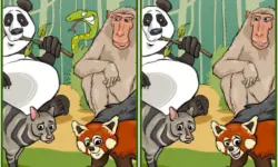 Wildlife Safari Five Diffs image