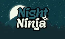 Night Ninja image