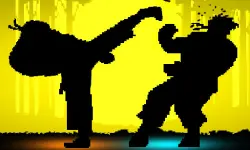 Shadow Fights image
