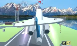 Polygon Flight Simulator image