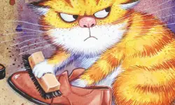 Funny Cats Slide image