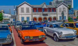 Find 100 Butterflies image