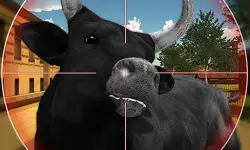 Bull Shooting image