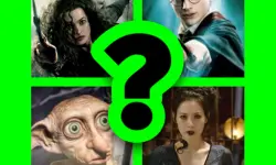 WHICH HARRY POTTER CHARACTER ARE YOU? image