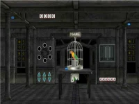 Parrots Escape background