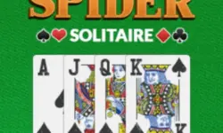 Spider Solitaire Pro image