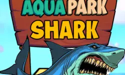 Aqua Park Shark image