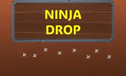 Ninja Drop image