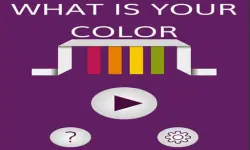 What is your color image